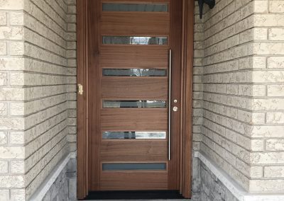 Modern Exterior Door with Glass Inserts