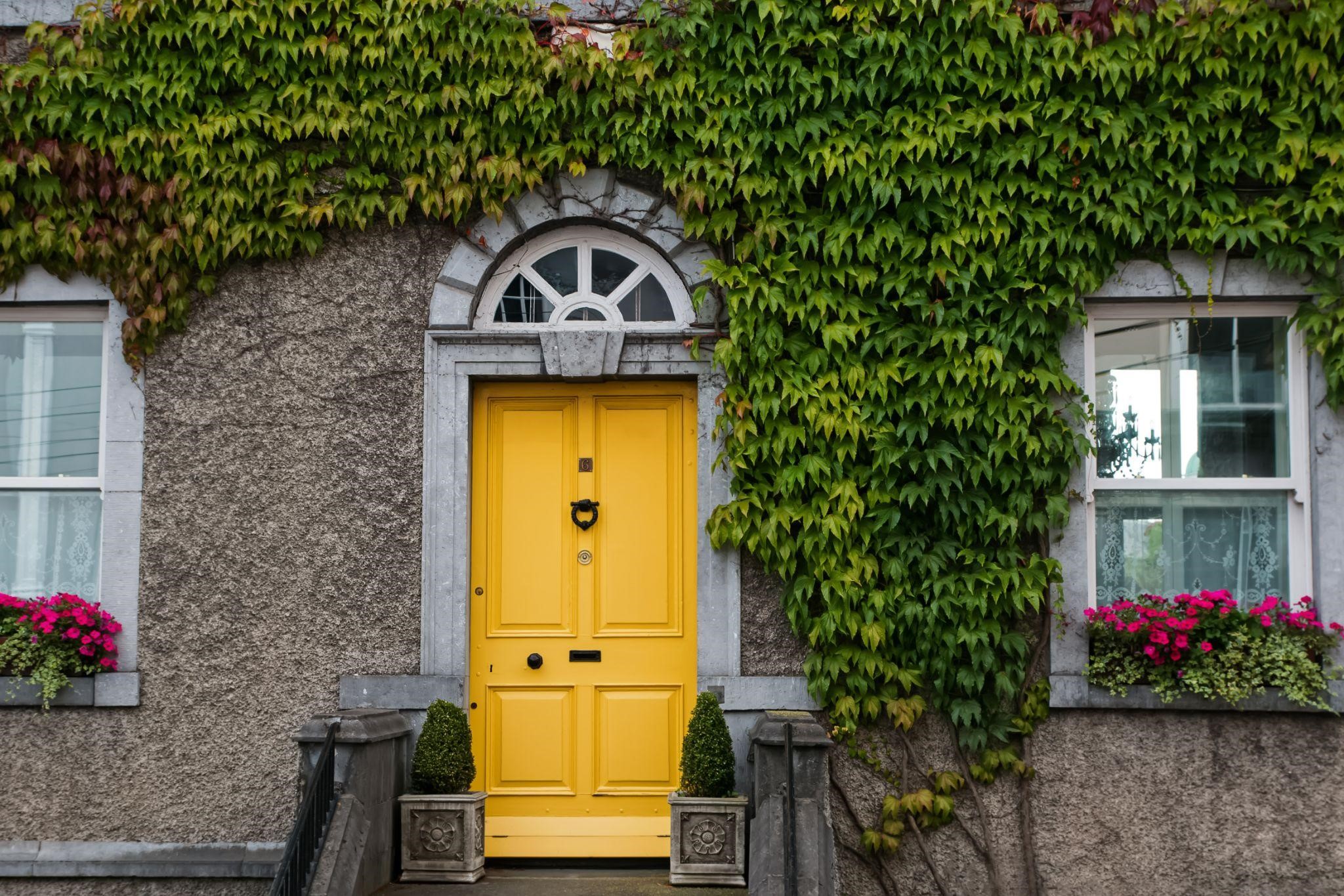 B1 Yellow color door