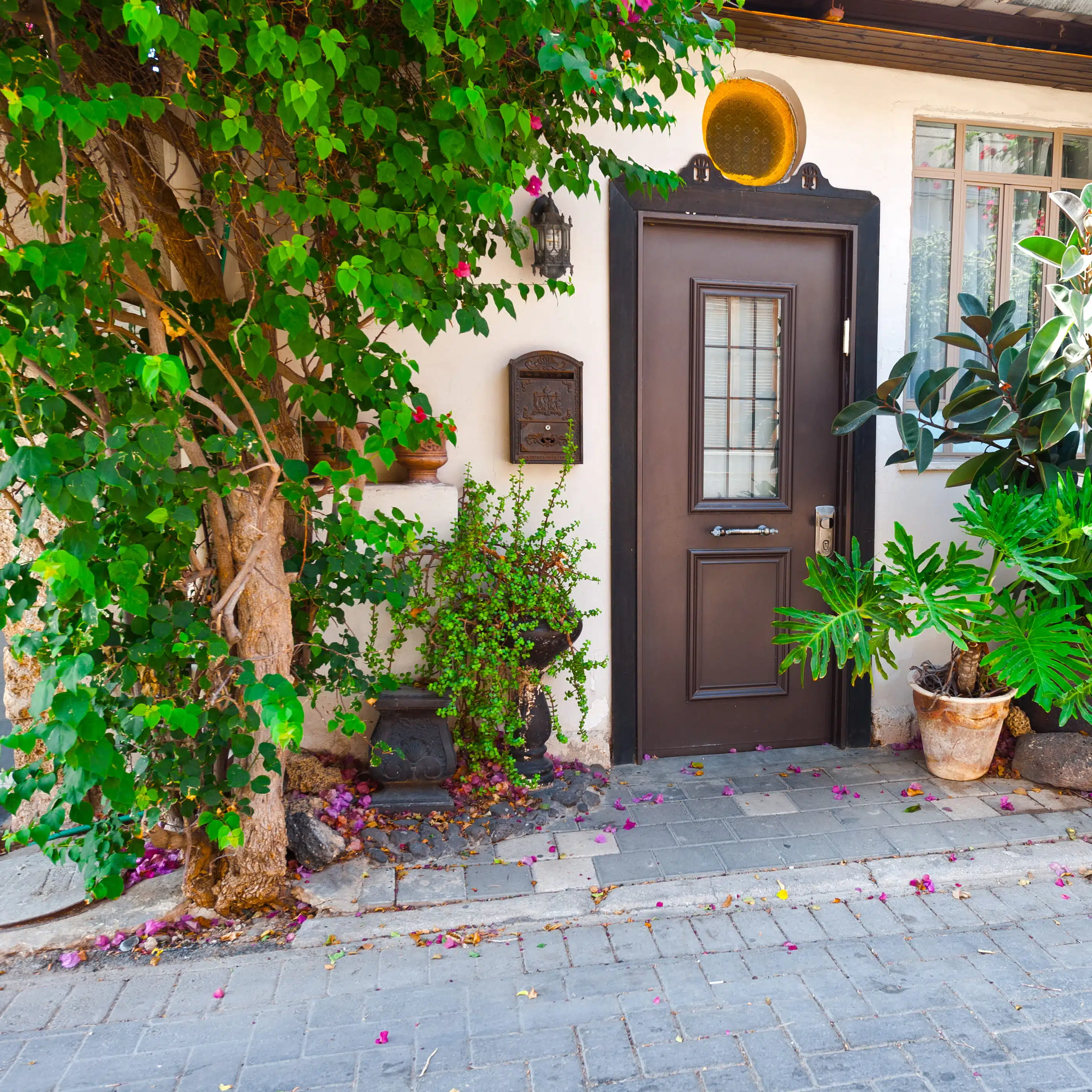 wooden Entry Door
