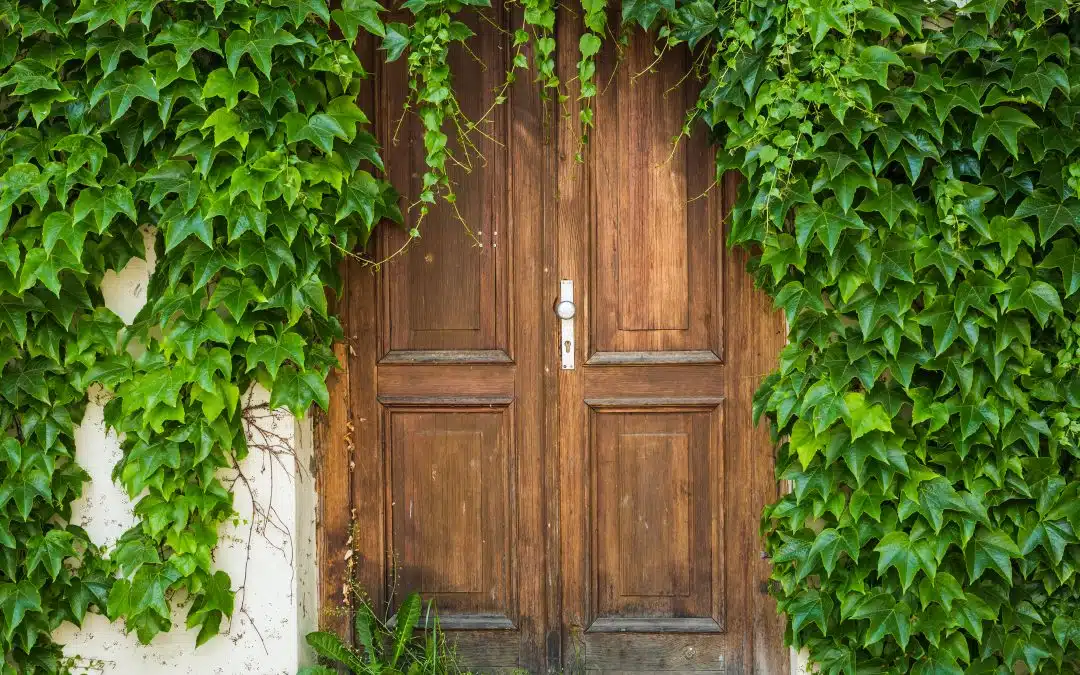 Eco-Friendly Wooden Front Doors